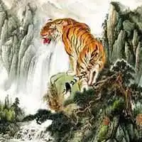 2018年属虎的人旺财的微信头像