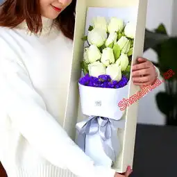 清水茉莉玫瑰买花网
