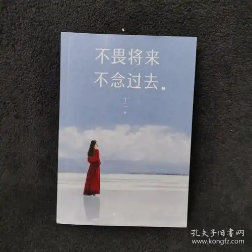 不畏将来不念过去2