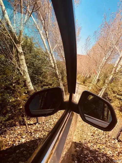 和我的爱车途昂一起享受乡间小路的旅途
