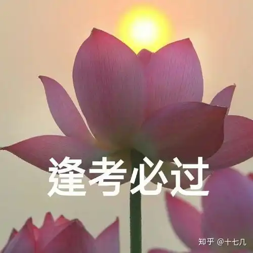为什么很多中年妇女喜欢用荷花莲花荷塘图片做头像