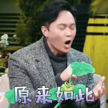 少女心炸裂仁和美丽异木棉提前刷屏来喽