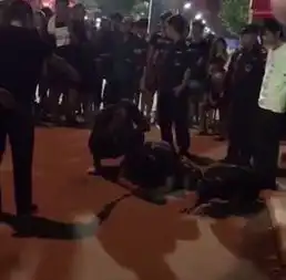 被误认为是传销人员3名学生遭保安暴打.