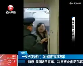 合肥阻拦高铁发车女子被罚2000元被责令认错改正