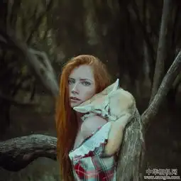 anitaanti的魔幻童话美女与野兽