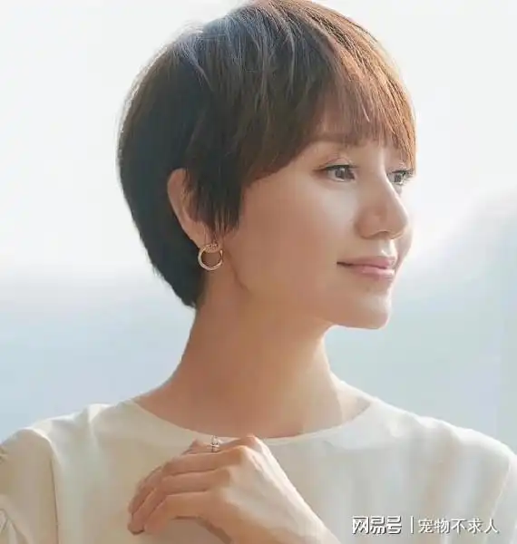 为什么说女人上了年纪,剪短发更气质看袁泉董明珠就知道