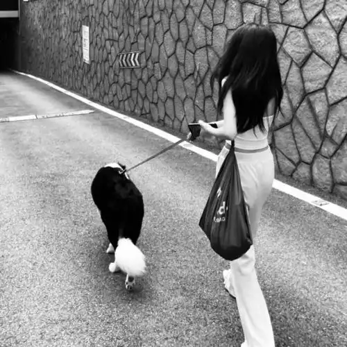 真人女头黑白世界冷淡无情