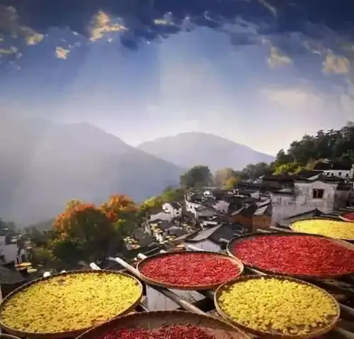 最后三天抢美在江西婺源晒秋瓷都景德镇秀美庐山仙境三清山江西博物馆豪华纯玩双飞6天还是独立团中国