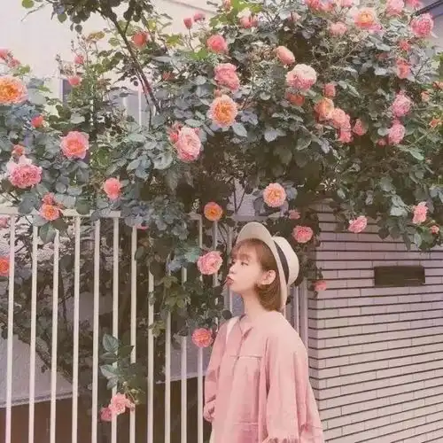 搜狐公众平台女生头像