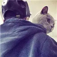 小清新女生抱猫头像唯美图片微信头像图片大全