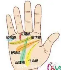 女人的好运气,最全最详细手相图解