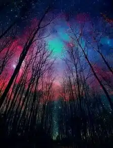 还有这种境意的美图吗