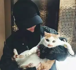 普贝斯猫咪最讨厌的三种抱法