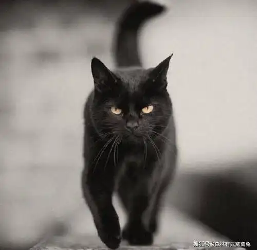 人生海海面子的罪恶在于,伤的不只是感情,还有性命