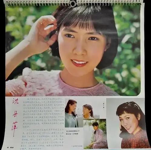 80年代当红女星沈丹萍,不顾反对嫁大14岁外国人,如今过得如何