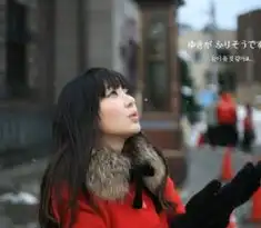 09韩版冬装长外套尽展贵族优雅气质