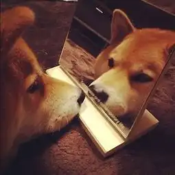 buenosdias