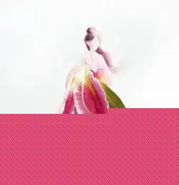 美得让女生尖叫的裙子