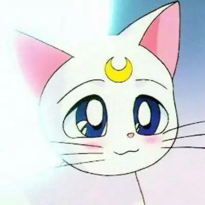 这是哪个动漫里的猫另一只什么样