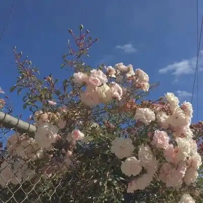 名片背景