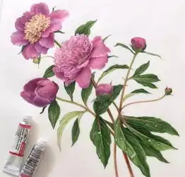 漂亮的是花,美丽的是心情隔着屏幕仿佛都能闻到阵阵花香