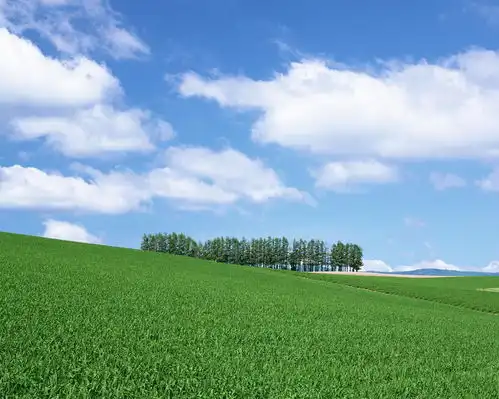 10月10日起磨难到头,接横财迎大喜,遇真爱迎又一春的3生肖