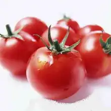 女性养生让你越吃越年轻的9种营养美食
