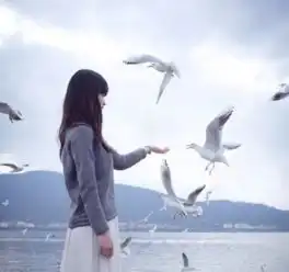 对不起,我们还不能结婚简书