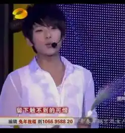明晚湖南小年夜的演唱会陈翔有什么表演