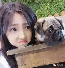 搞笑内涵美女先占个坑