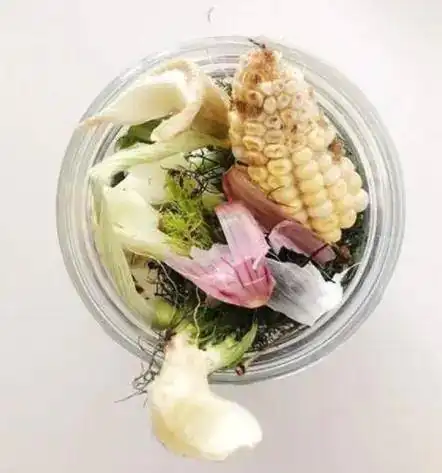 90后美女节欲上瘾,不用卫生巾真正需要断舍离的,是这样东西