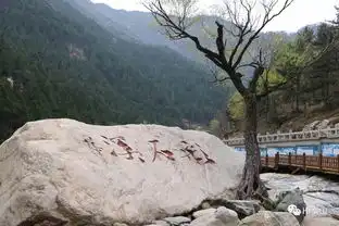 实时昨天,众多帅哥美女相约在彩石溪,在有山有水有花的美景中,他们