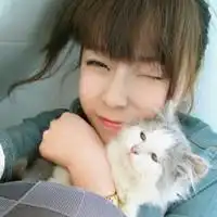 qq头像最新爱猫qq头像