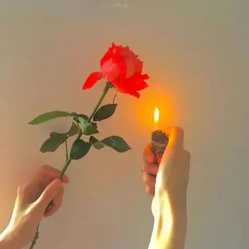 超有意境的温柔文案