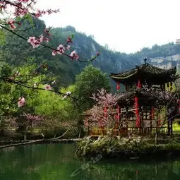 重庆酉阳桃花源攻略,酉阳桃花源桃花源门票游玩攻略地址图片门票价格