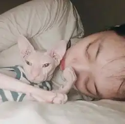 热依扎晒猫被质疑模仿雪莉蹭热度,怒怼网友你去看病吧