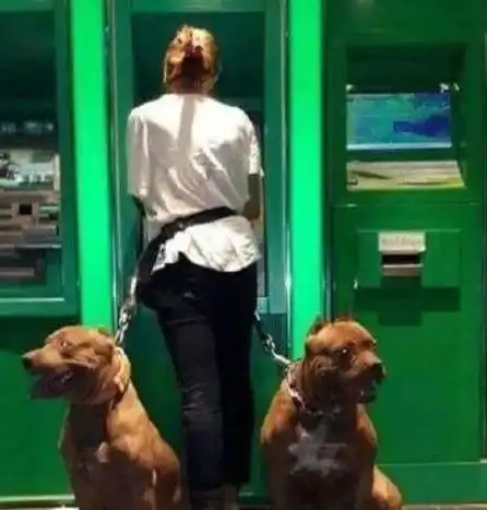 搞笑gif美女,你打错人了我跟她是撞衫不是情侣装