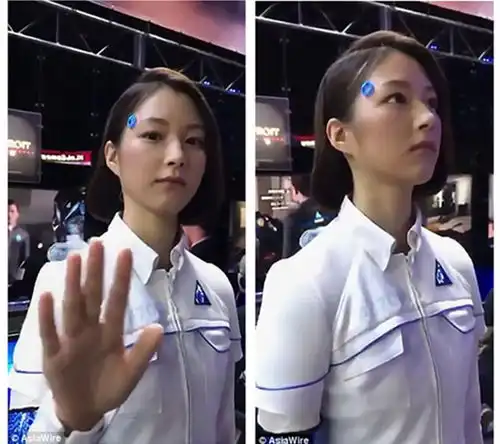 中国网民吵翻了这位女神到底是智能机器还是人