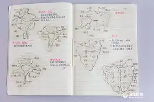 厉害了妹子杭州大二女生解剖学笔记惊艳走红