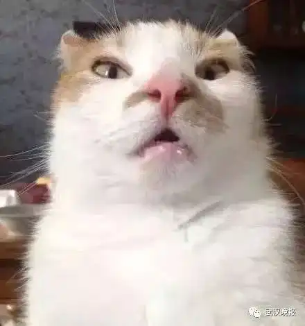 爸妈的拍照技术,是比男友拍照更让人窒息的卸妆水