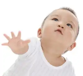最新高分的董姓男宝宝名字