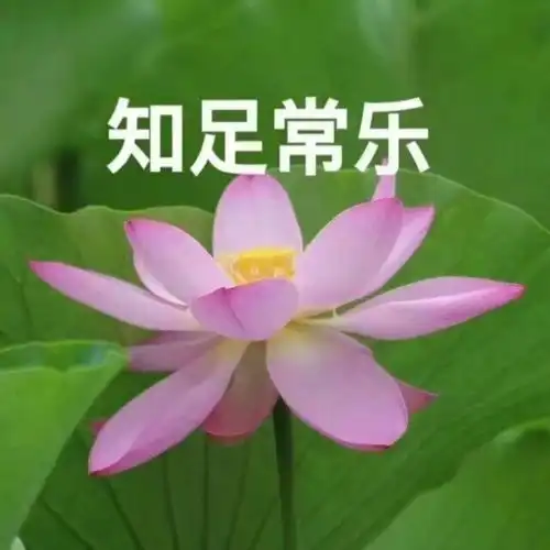 这些暗地里搞黄色的软件,彻底凉了