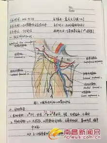 90后美女护士手术笔记走红字迹工整解剖图手绘