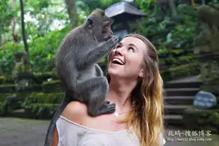 巴厘岛圣猴森林猴子袭击美女