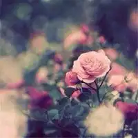 好听的微信网名配头像微信头像图片大全