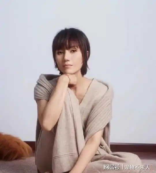看着有气质的中年女人,通常都有这3个特征,看陈数袁泉就知道
