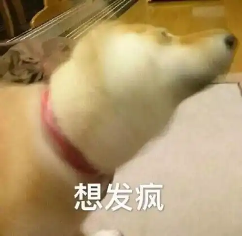 我们这些妈妈,单凭一口仙气已经吊不住了,得修成神才行