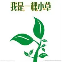 一棵小草头像图片一颗绿色小草头像图