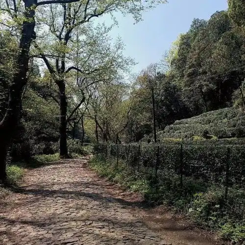 狮峰山门票,狮峰山游玩攻略360地图