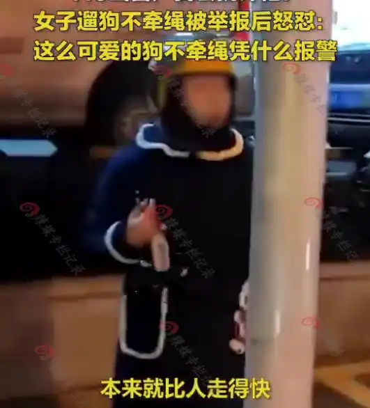 女子遛狗不牵绳路人报警,狗主人大言不惭我的狗从小就不牵绳